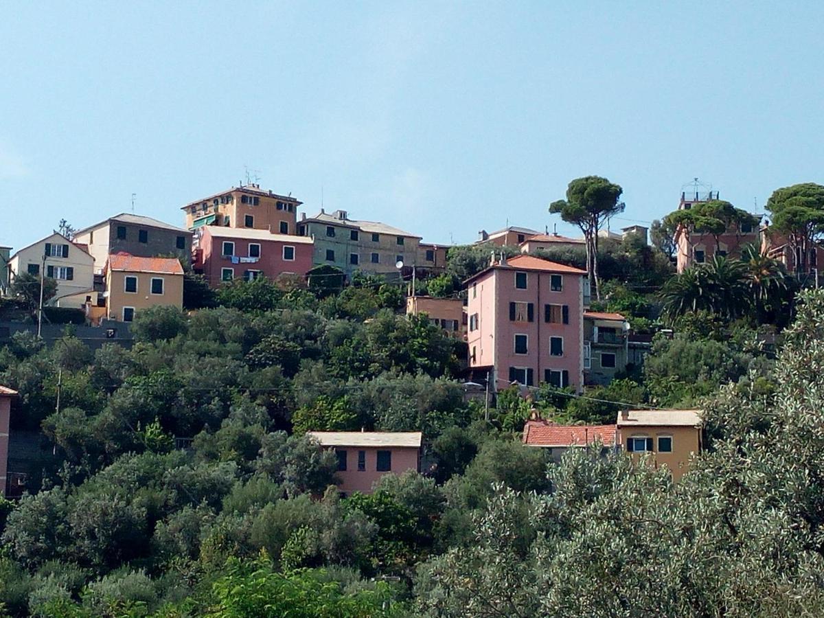 热那亚Villino "Il Rustichetto"别墅 外观 照片